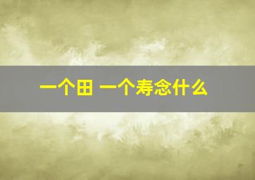 一个田 一个寿念什么